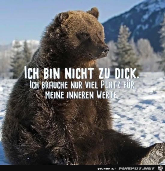 ich bin nicht zu dick.......