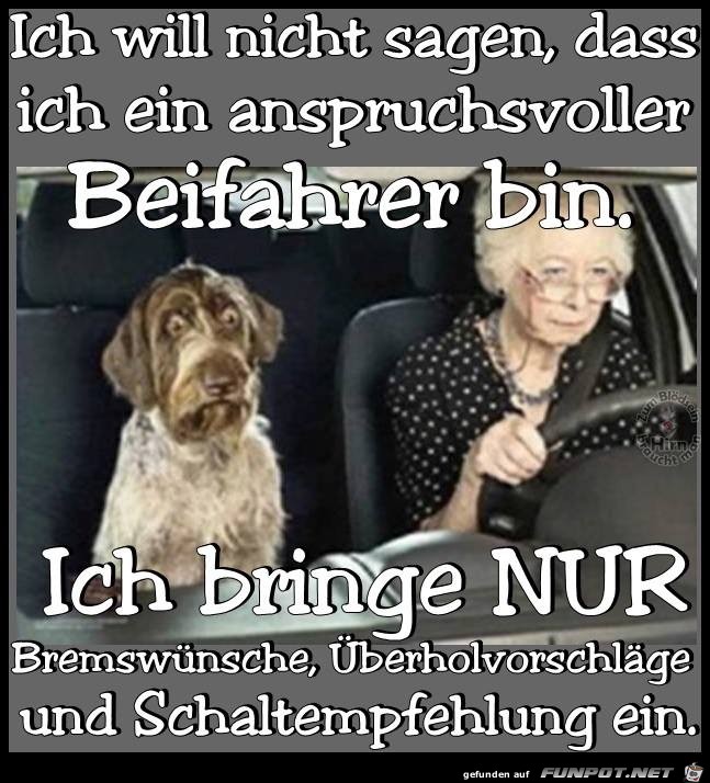 Beifahrer Beifahrer