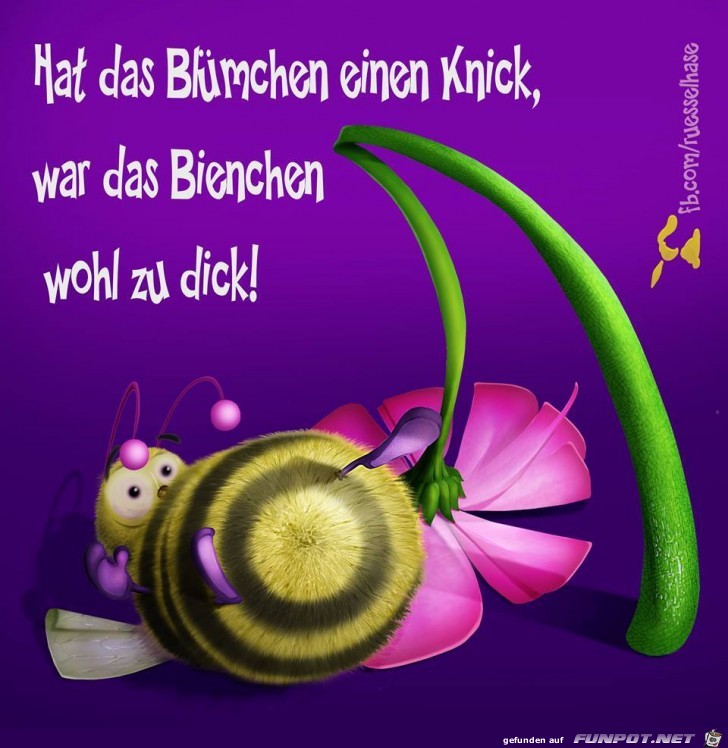 Einen Knick