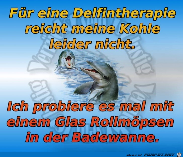 Delfintherapie Delfintherapie