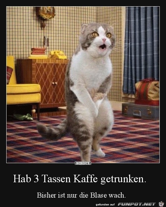 hab 3 Tassen Kaffee getrunken.......