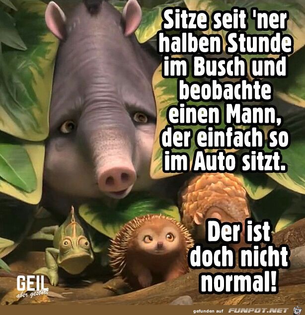 Der ist doch nicht normal Der ist doch nicht normal