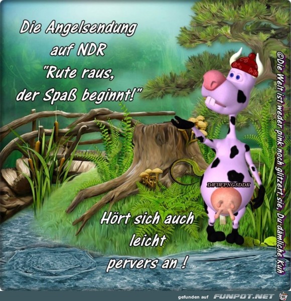 Angelsendung Angelsendung