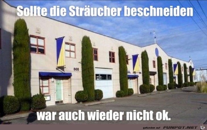 Sollte die Strucher schneiden