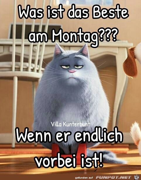 Was ist das beste Was ist das beste