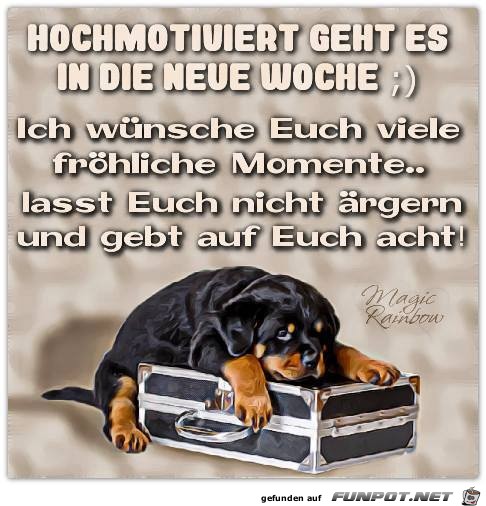 Hochmotiviert Hochmotiviert