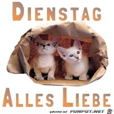 Dienstag Dienstag