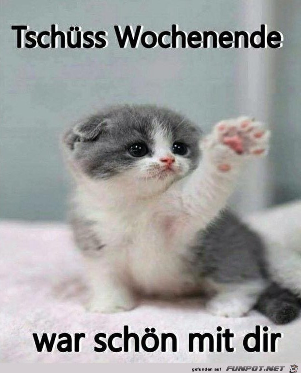 Tschüss Wochenende Tschüss Wochenende