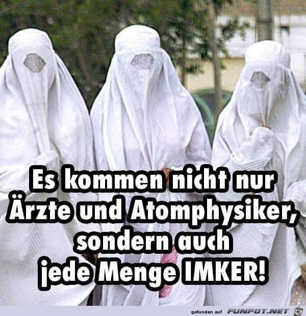 Es kommen... Es kommen...