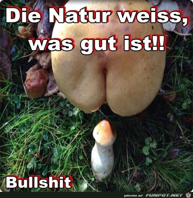 Natürlich Gut Natürlich Gut
