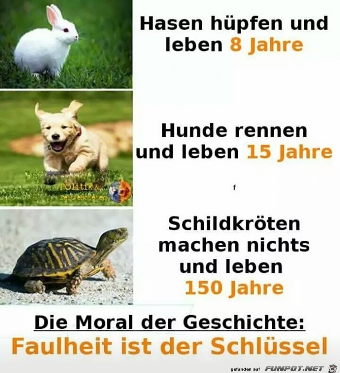 Die Moral Die Moral