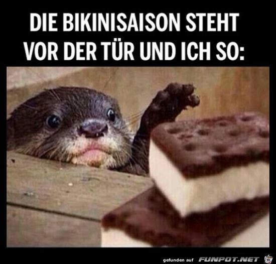 Ich so