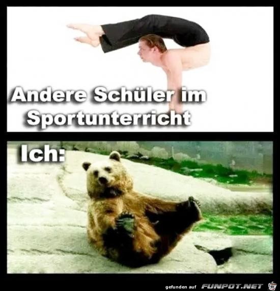 Netter Vergleich Netter Vergleich