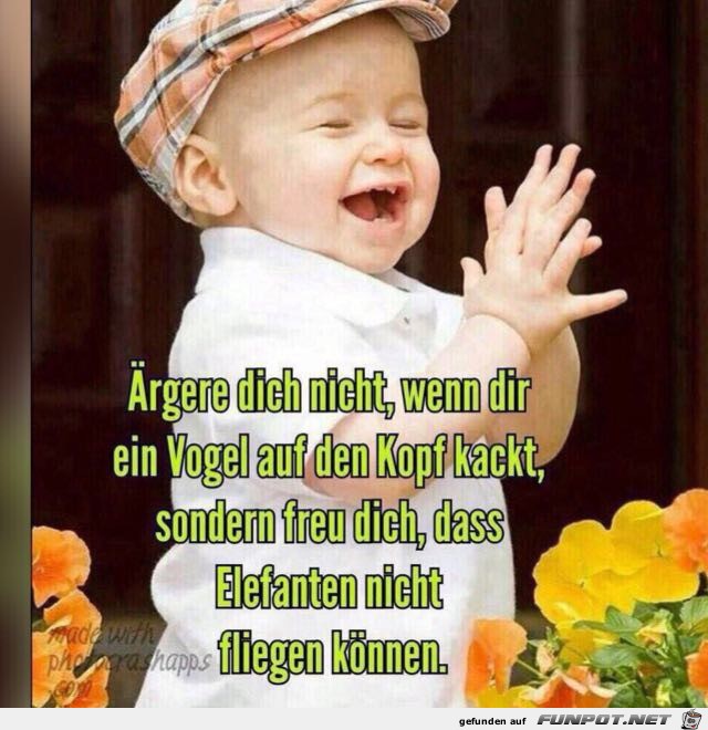 rgere Dich nicht...