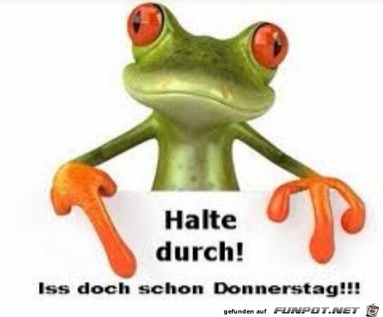 Halte durch