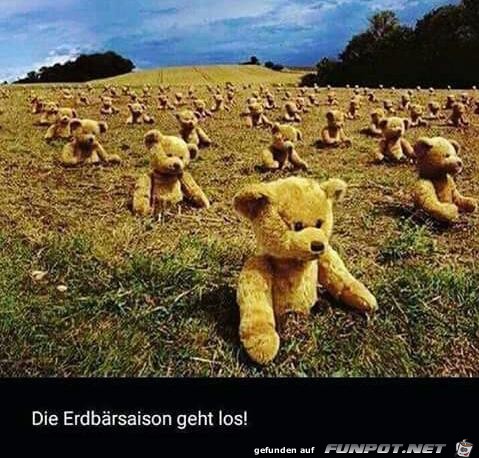 Die Erdbeer-Saison ist eröffnet Die Erdbeer-Saison ist eröffnet