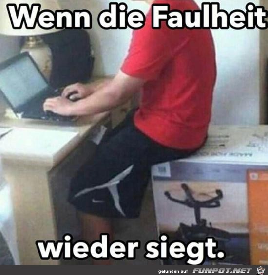 Faulheit siegt Faulheit siegt