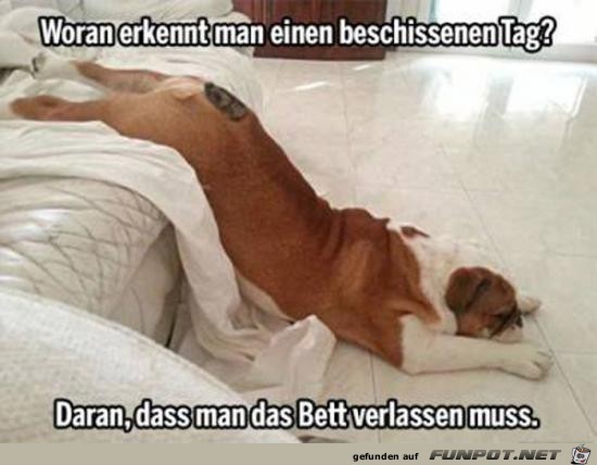 Scheiß Tag Scheiß Tag
