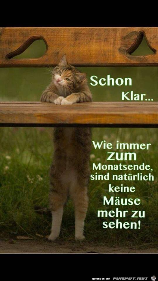 Schon klar Schon klar