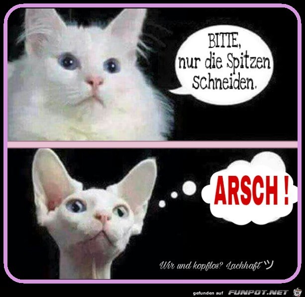 Bitte nur Spitzen schneiden Bitte nur Spitzen schneiden