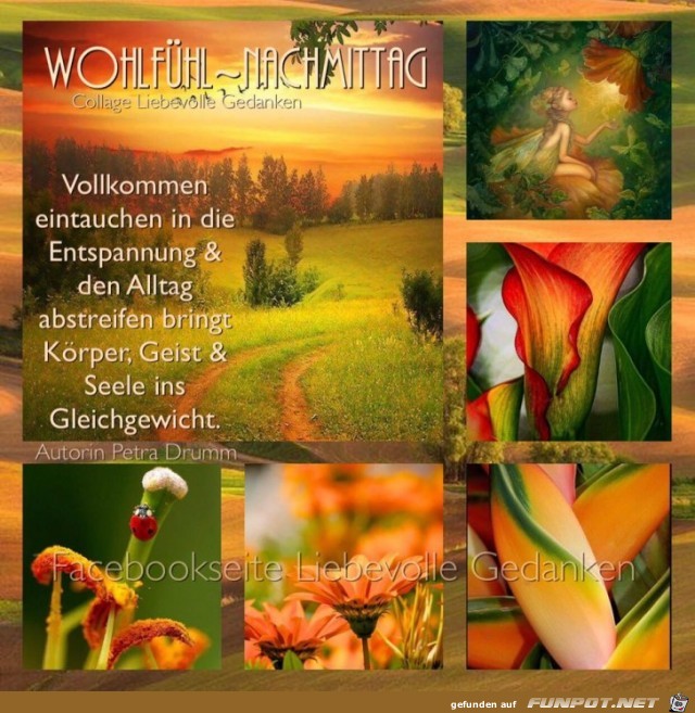 Wohlfuehl Nachmittag Wohlfuehl Nachmittag