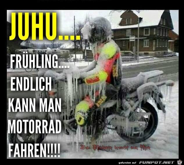 Juhu - Frühling Juhu - Frühling