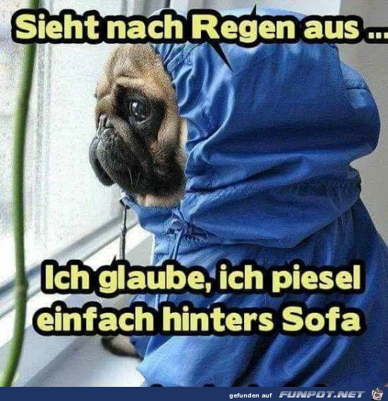 sieht nach Regen aus........