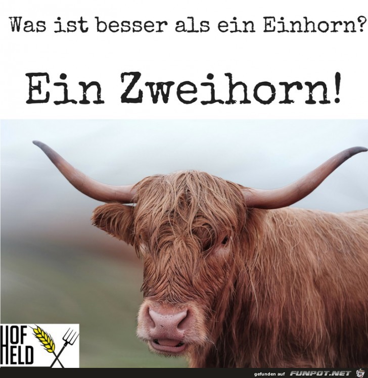 Was ist besser wie ein Einhorn