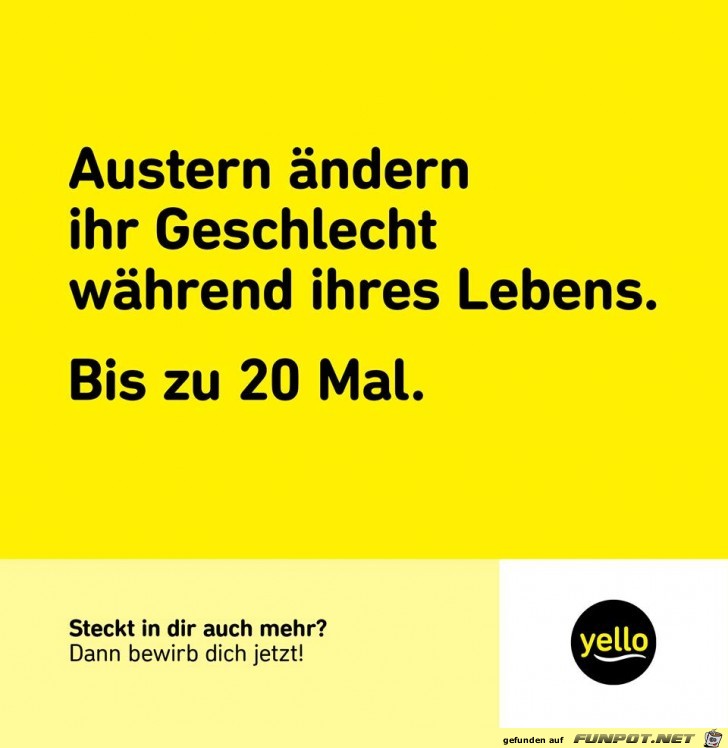 Wustest Du das Wustest Du das