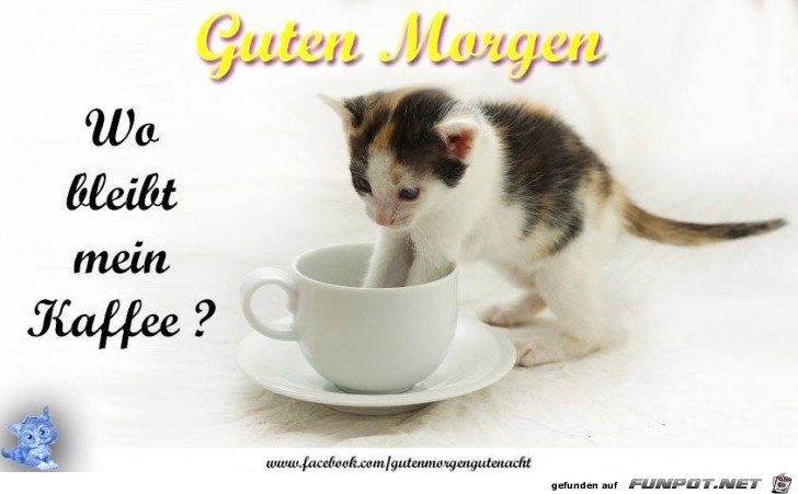 Guten Morgen Guten Morgen