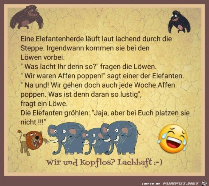 Elefantenherde Elefantenherde