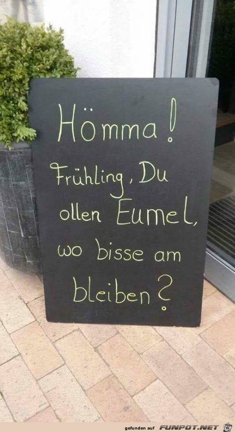 Wo ist der Frühling Wo ist der Frühling