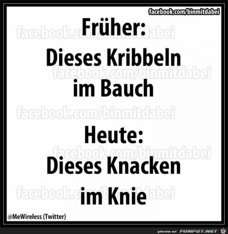 Die Geräusche vom Körper Die Geräusche vom Körper