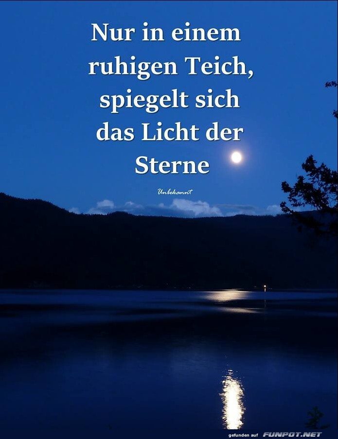 Nur in einen ruhigen Teich