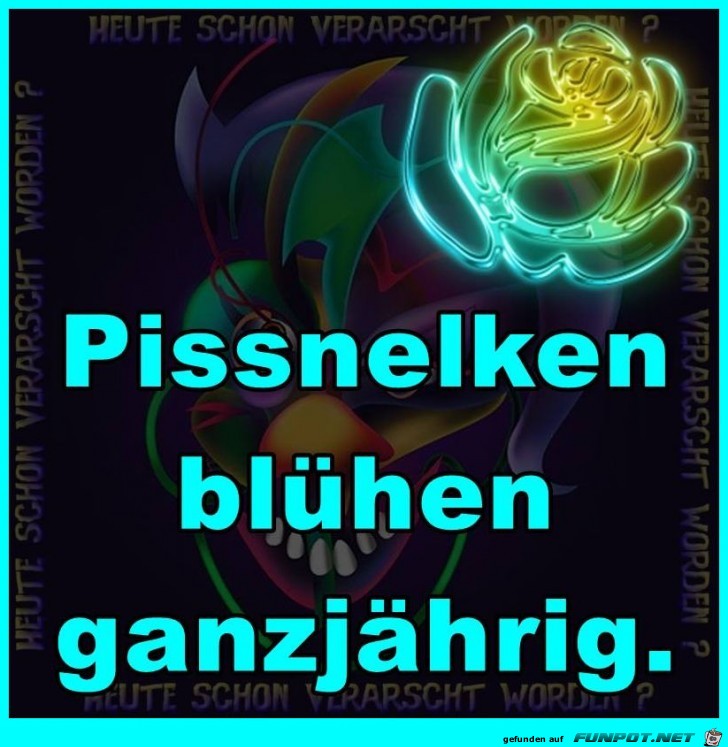 Blüht ganzjährig Blüht ganzjährig
