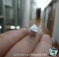 Vögelchen flieg Vögelchen flieg