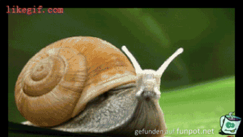Und ab gehts Und ab gehts