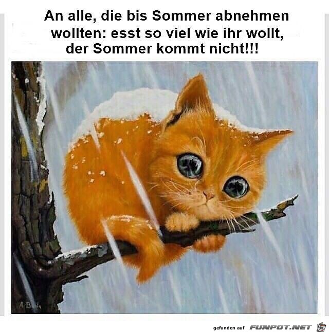 Sommer kommt nicht