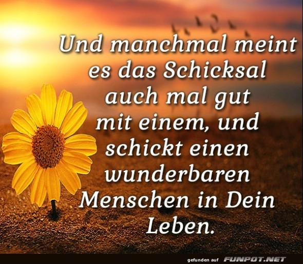 10 schne Sprche und Lebensweisheiten aus...