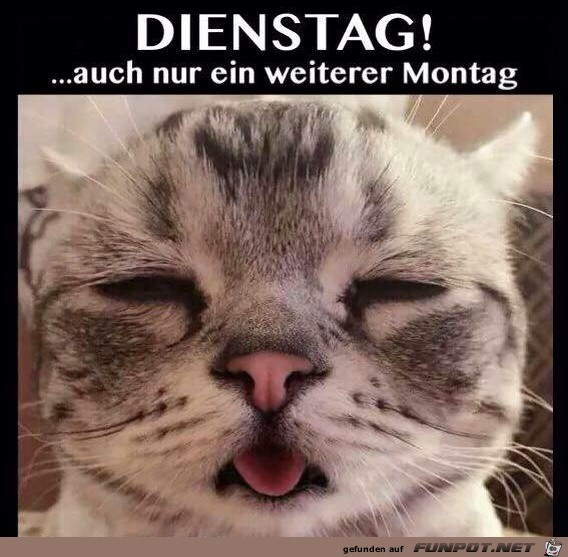 Ein weiterer Montag