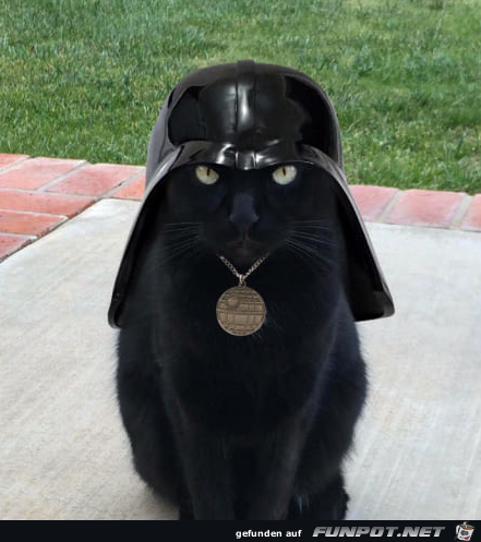 Darth Kater