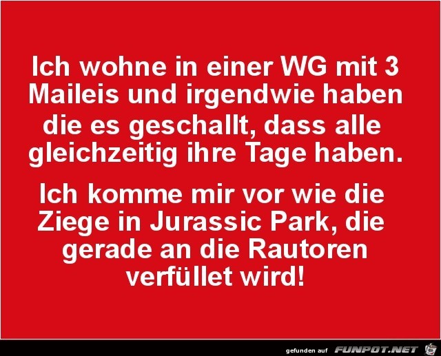 ich wohne in einer WG......... ich wohne in einer WG.........