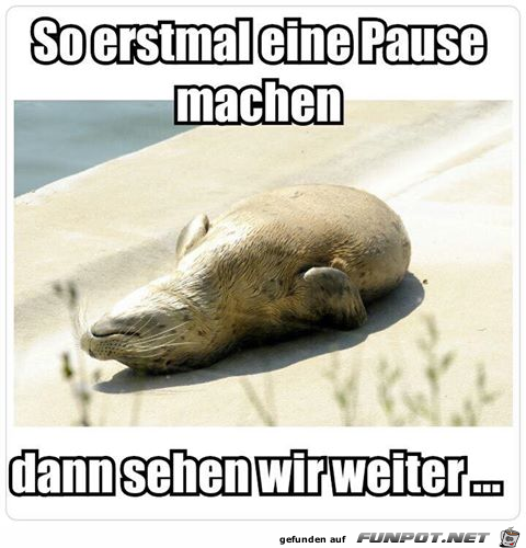 Pause Pause