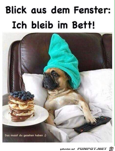 Ich bleib im Bett