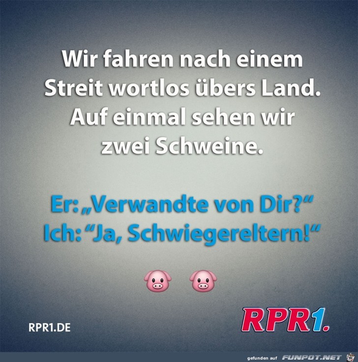 zwei Schweine zwei Schweine