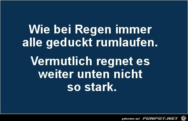 Bei Regen geduckt Bei Regen geduckt