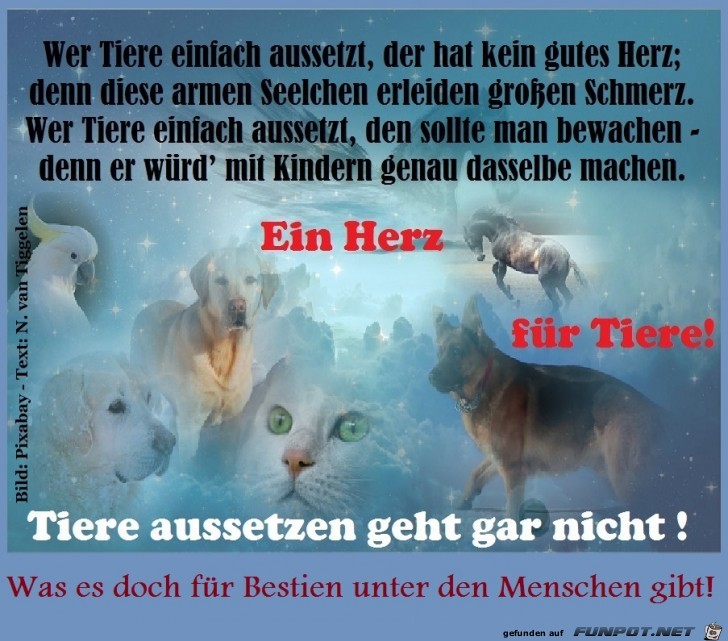 Tiere aussetzen Bestie Mensch 110517 Tiere aussetzen Bestie Mensch 110517