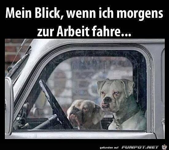 Mein Blick