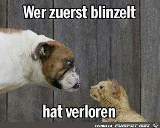 wer zuerst blinzelt wer zuerst blinzelt