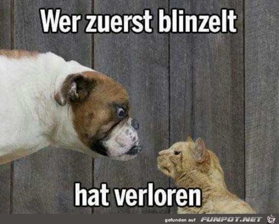 wer zuerst blinzelt